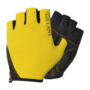 Fitness Gloves
